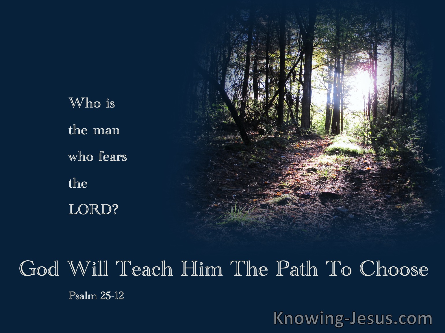 What Does Psalm 25 12 Mean 